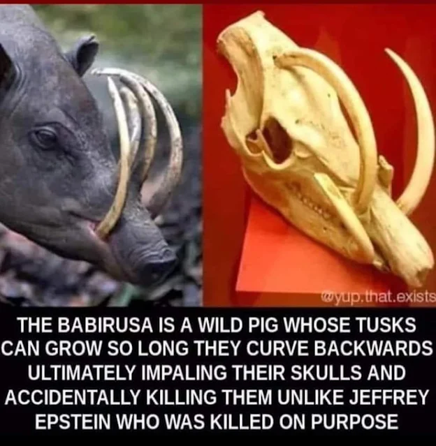 1713838745237.png