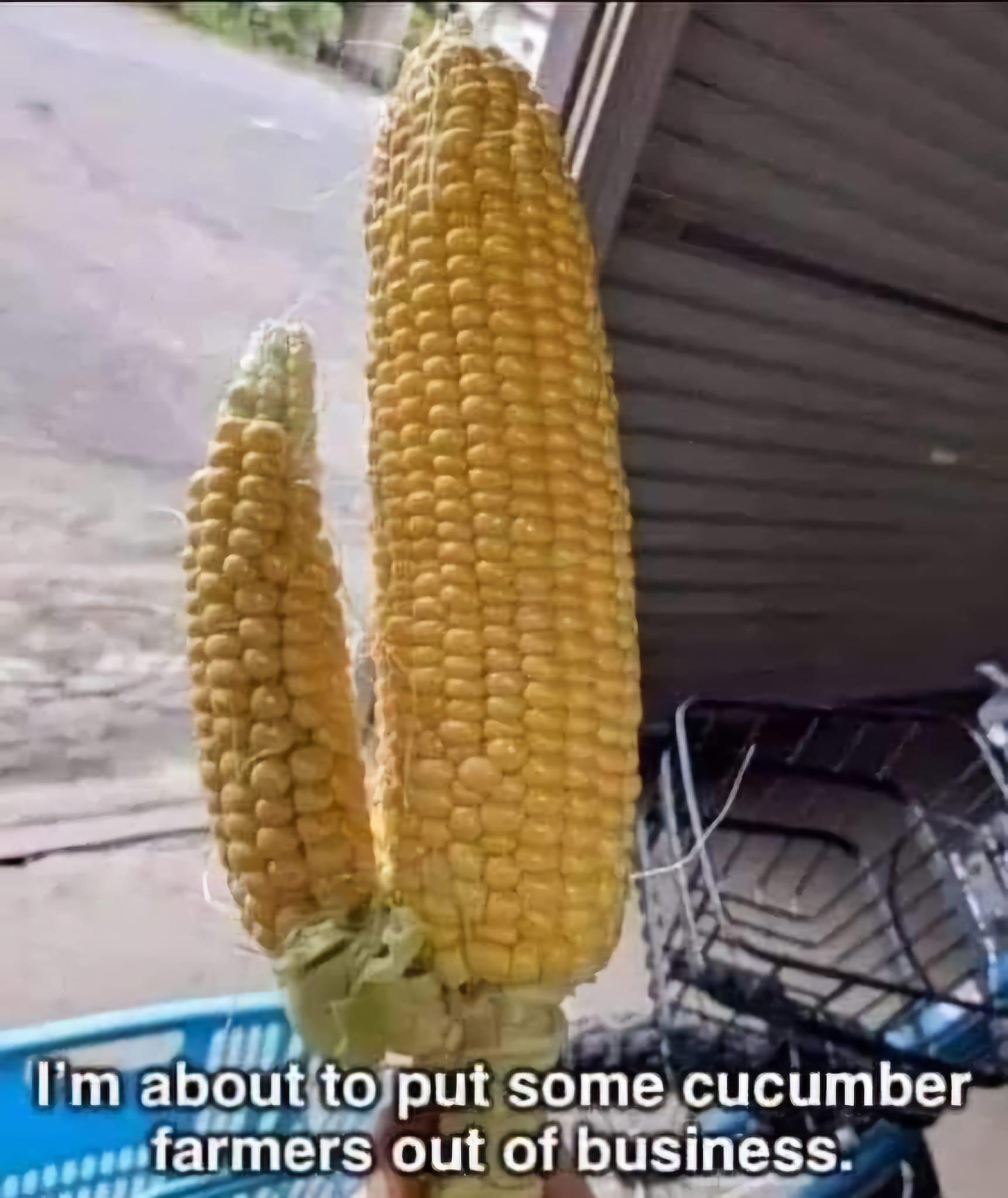 1714009529287.png