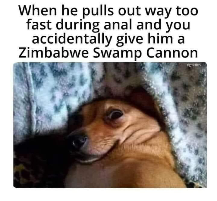 1714021127418.png