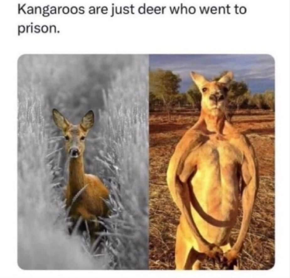 1714135917066.jpeg