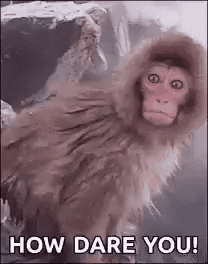 1714157679340.gif