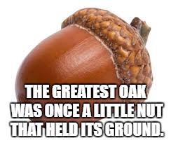 1714183071757.jpeg