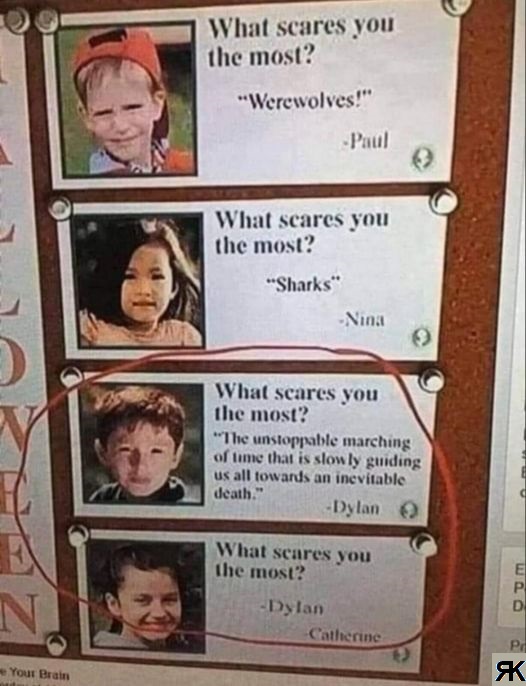 1714194158177.jpeg