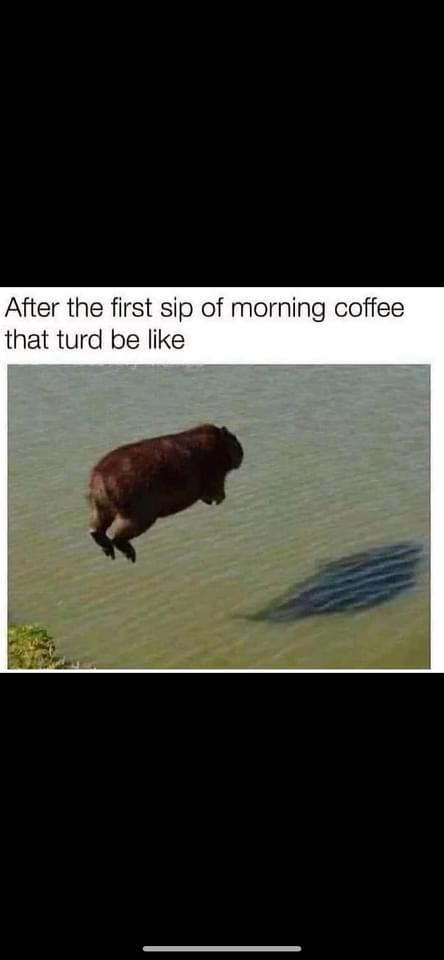 1714689966669.png