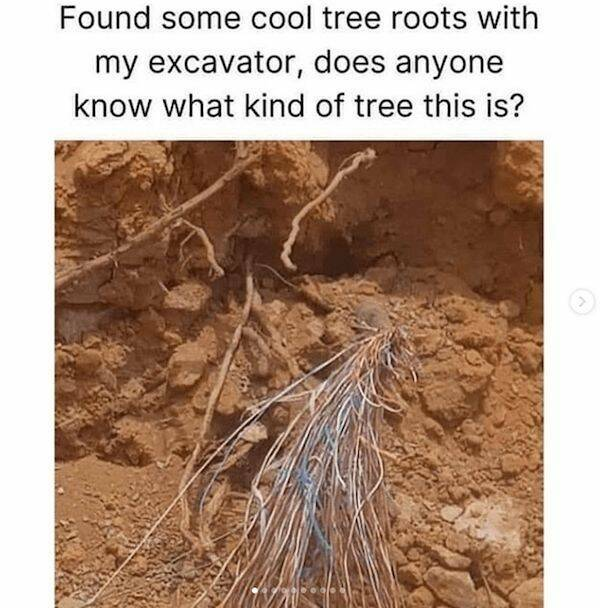 1714879551419.png