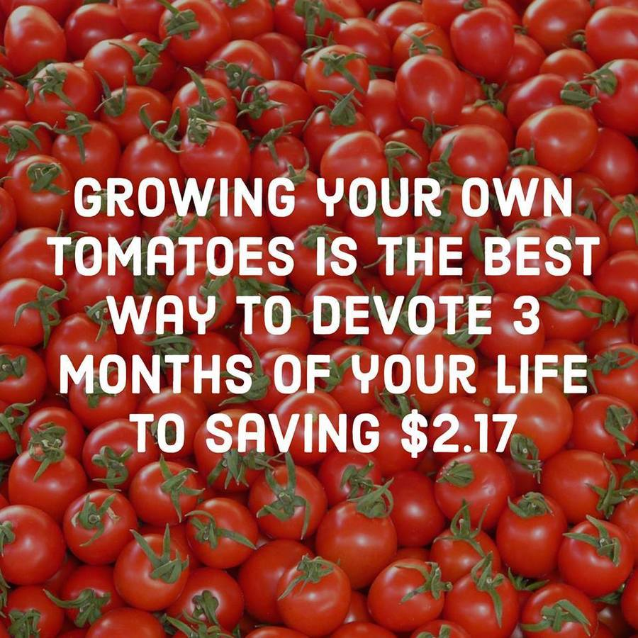 1715068865838.png