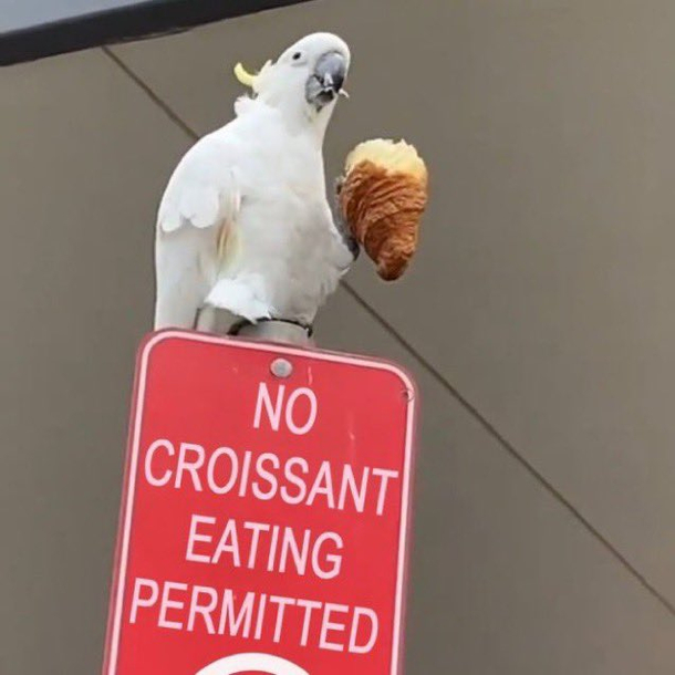 1715267539273.png