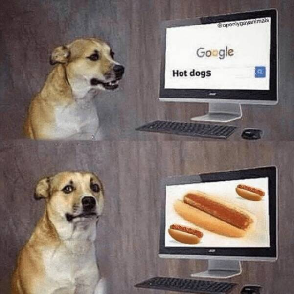 1715496856385.png