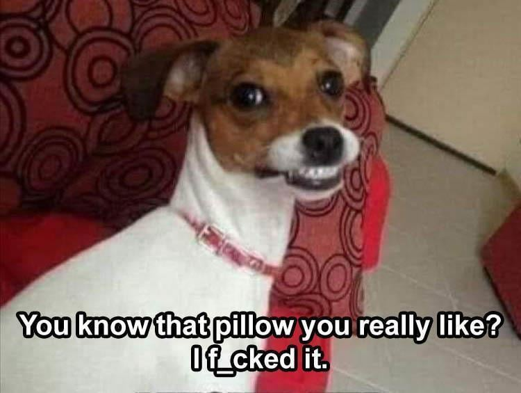 1715504679563.png