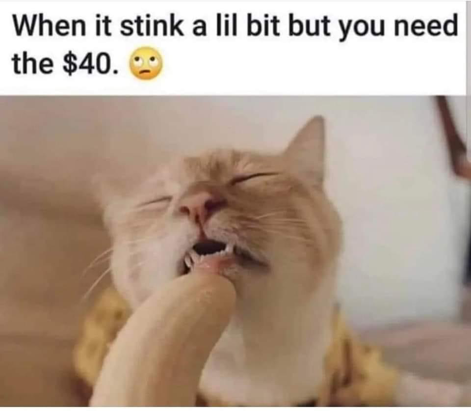 1715713667599.png