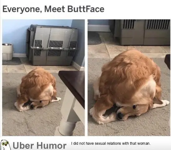 1715850157396.png