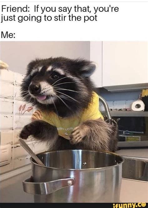 1715886979072.jpeg