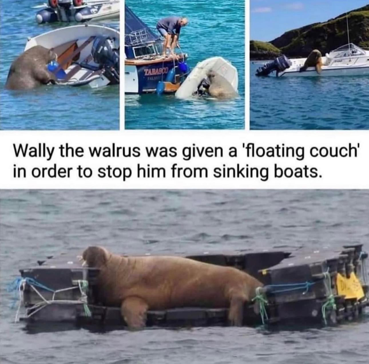 1715980096032.png