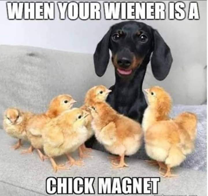 1715982460625.png