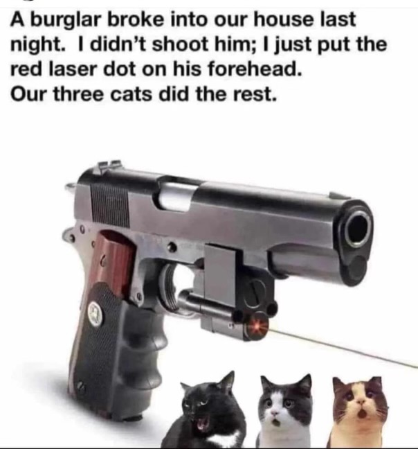1716323624498.jpeg