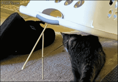 1716330539625.gif