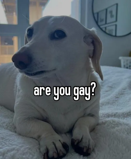 1716348930371.png