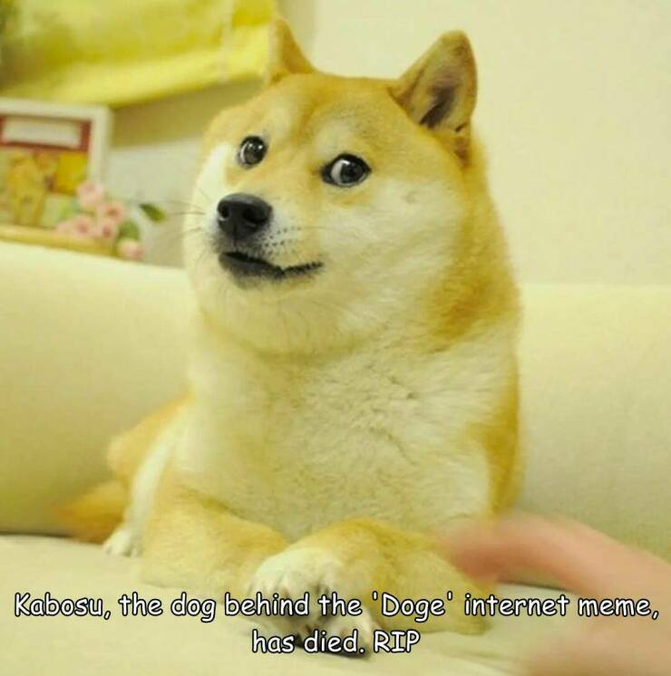 1716714861202.png