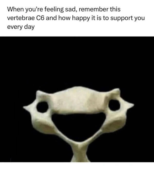 1716719115892.png