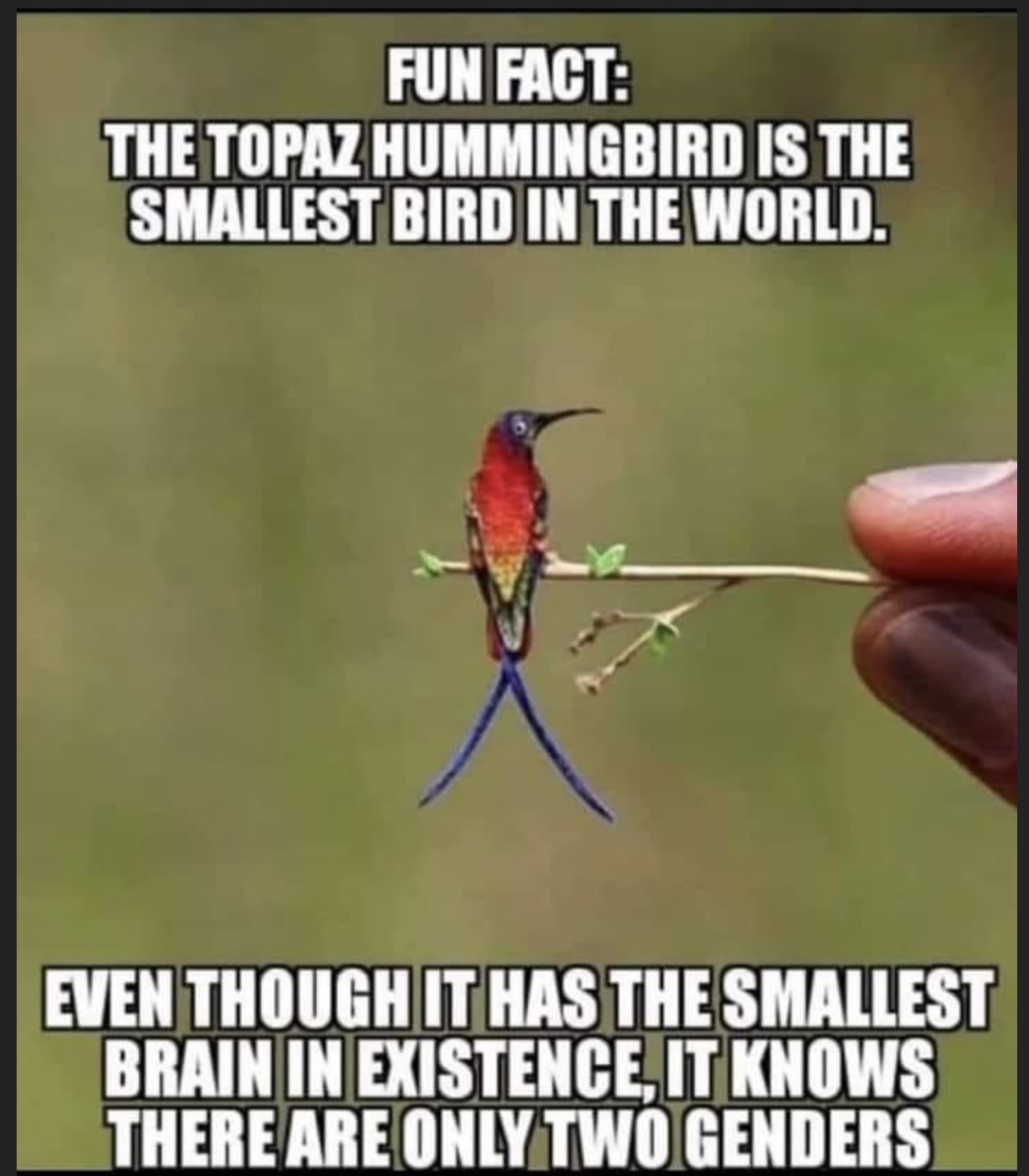 1716825461243.jpeg
