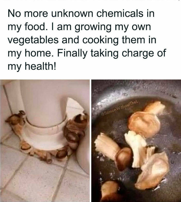 1717574208198.png
