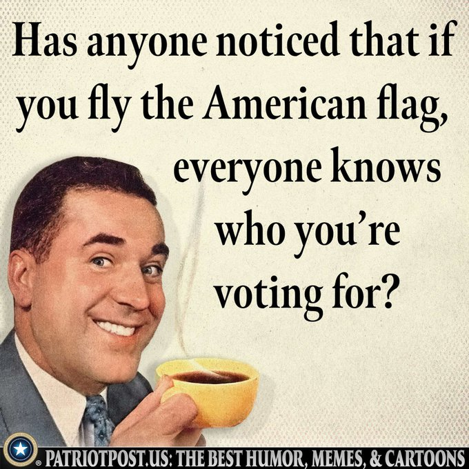 1717629066292.png