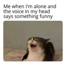 1717916021448.png