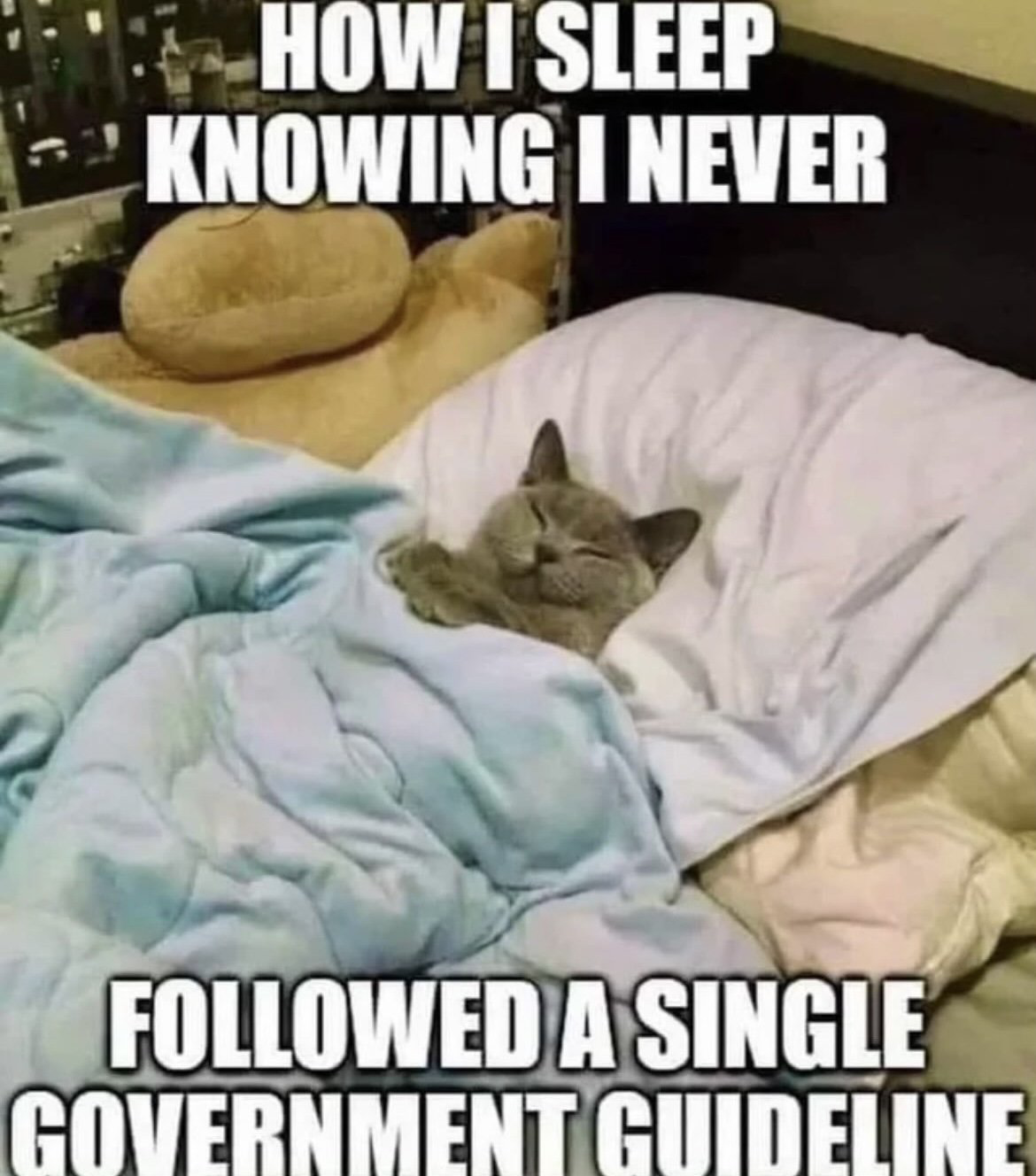 1718057159101.png