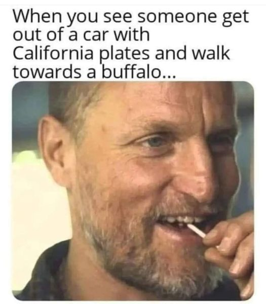 1718224520419.png