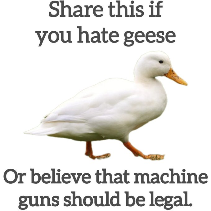 1718834491176.png