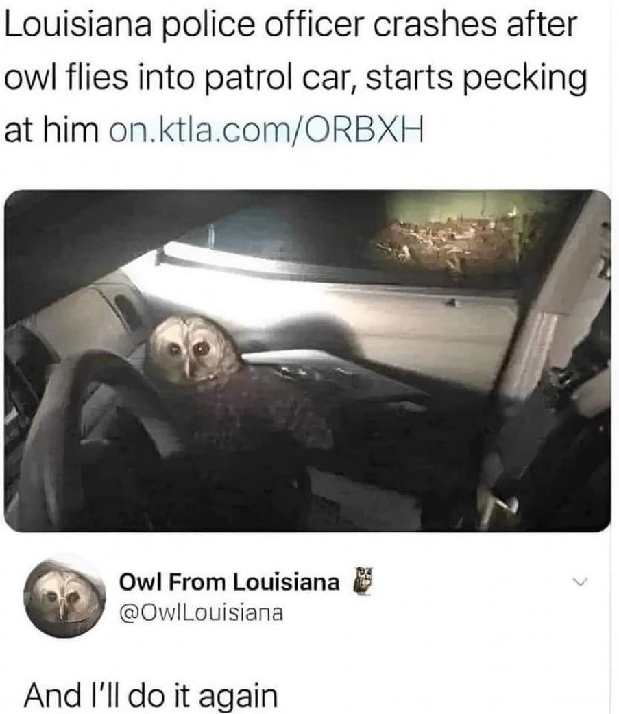 1719117963788.png