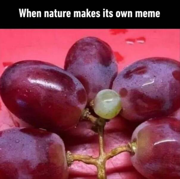 1719283536357.png