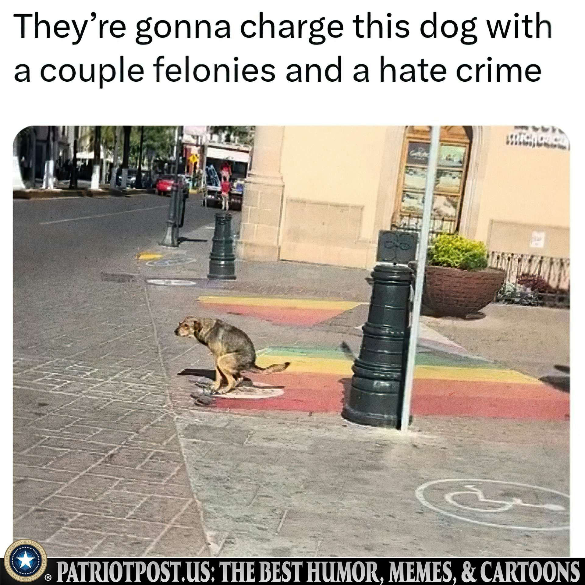 1719814314227.png