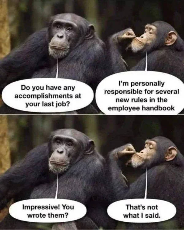 1720058630966.png
