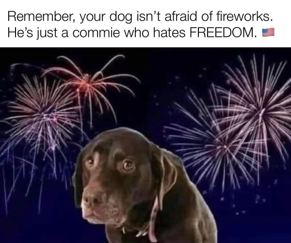 1720127729364.png