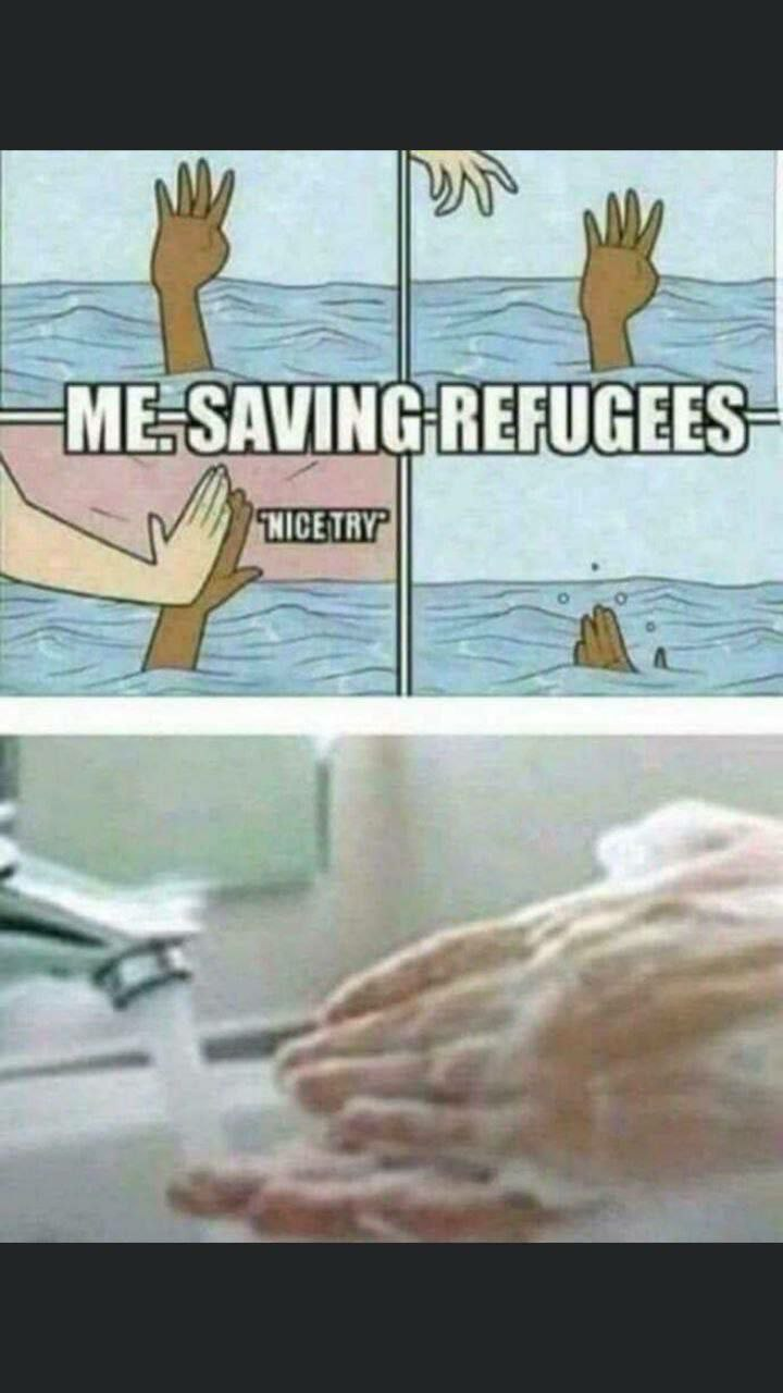 1733240798389.png