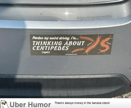 1733470249519.png