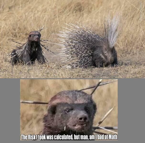 1733474006899.png