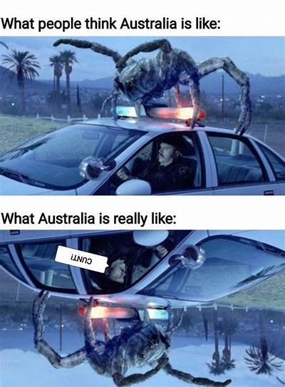 1733668915162.jpeg