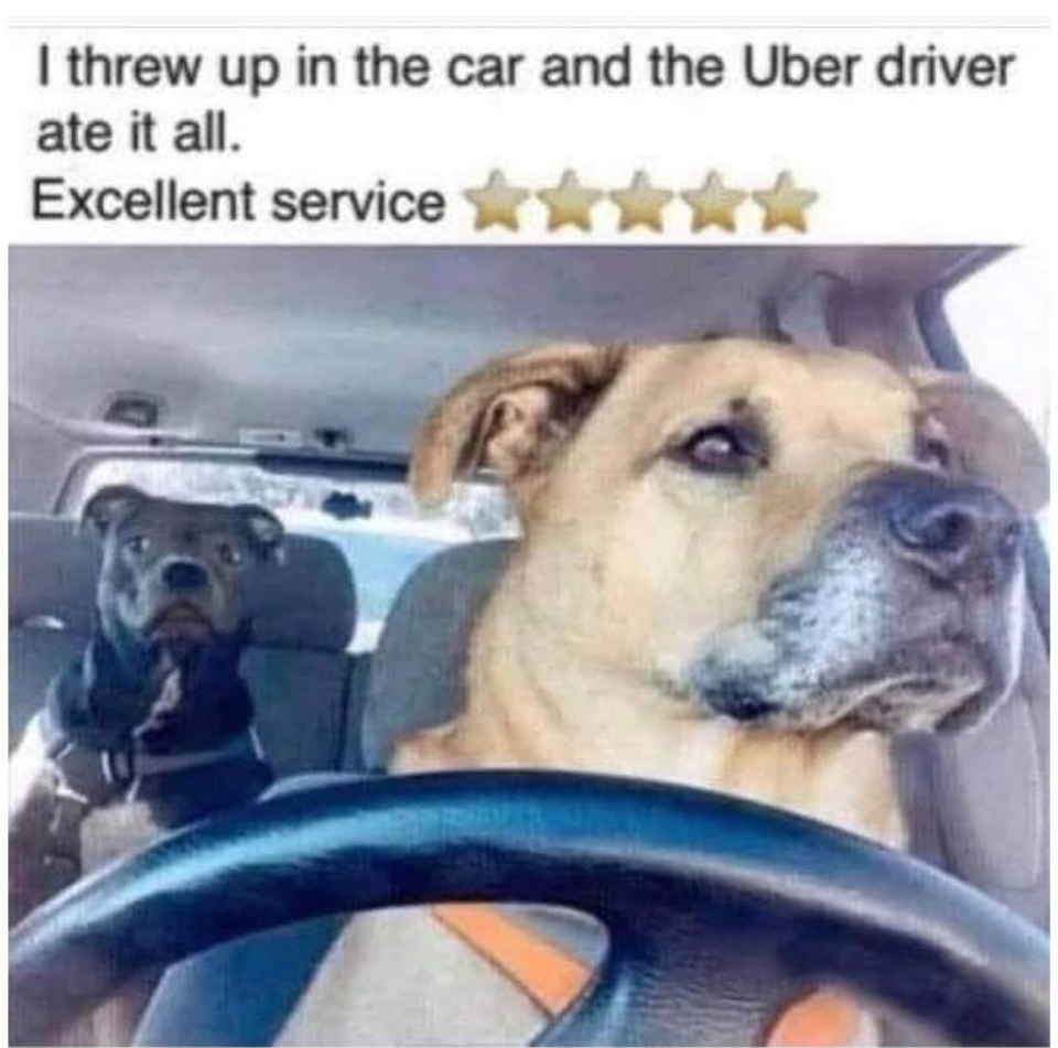 1735083392378.png