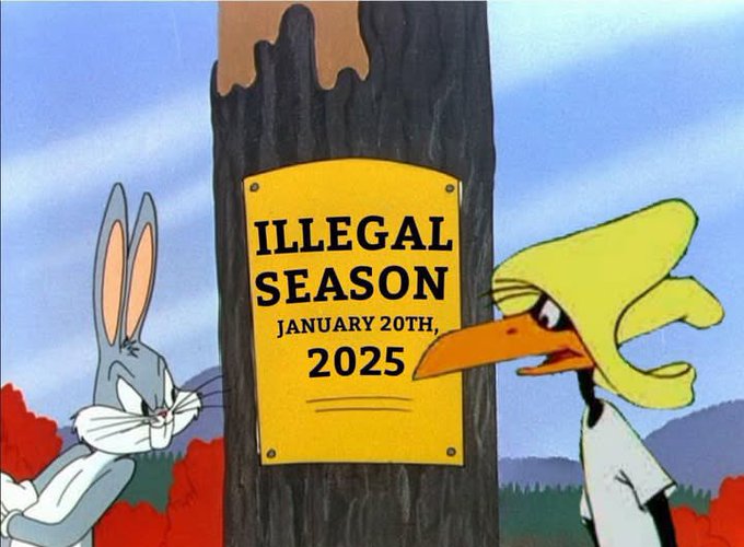 1735578261790.jpeg