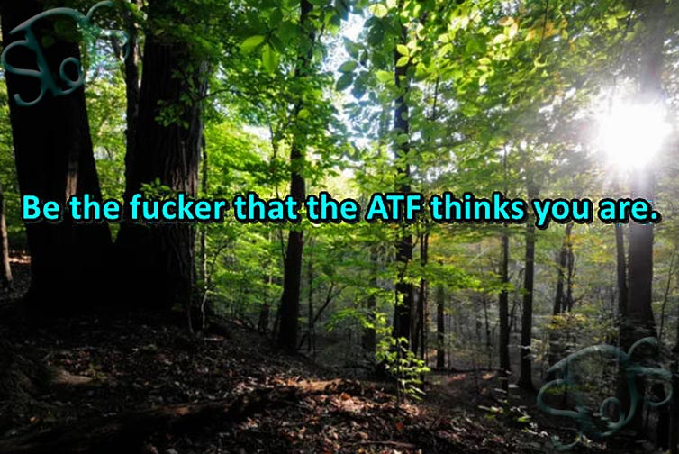 1742851124913.png