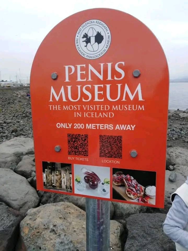 1743015149253.png