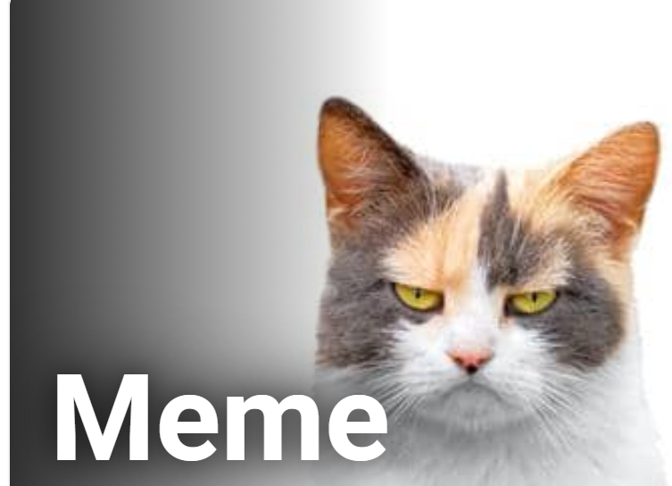 1743305114238.png