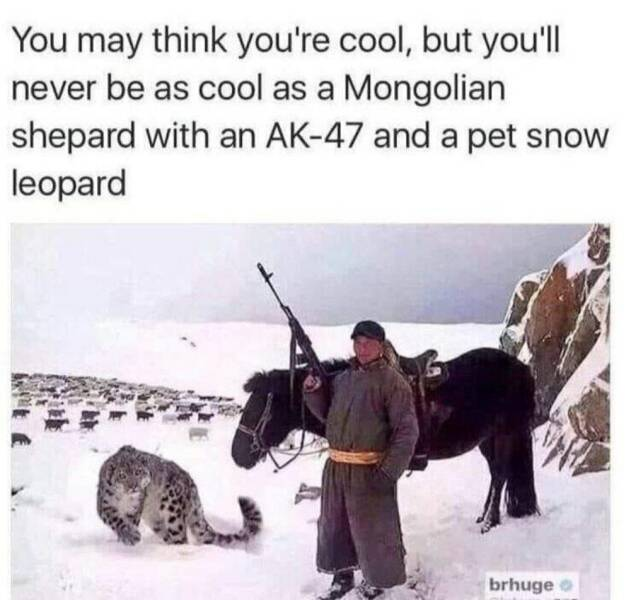 1743485911018.png