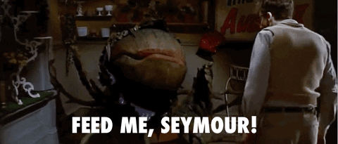 1743502027033.gif
