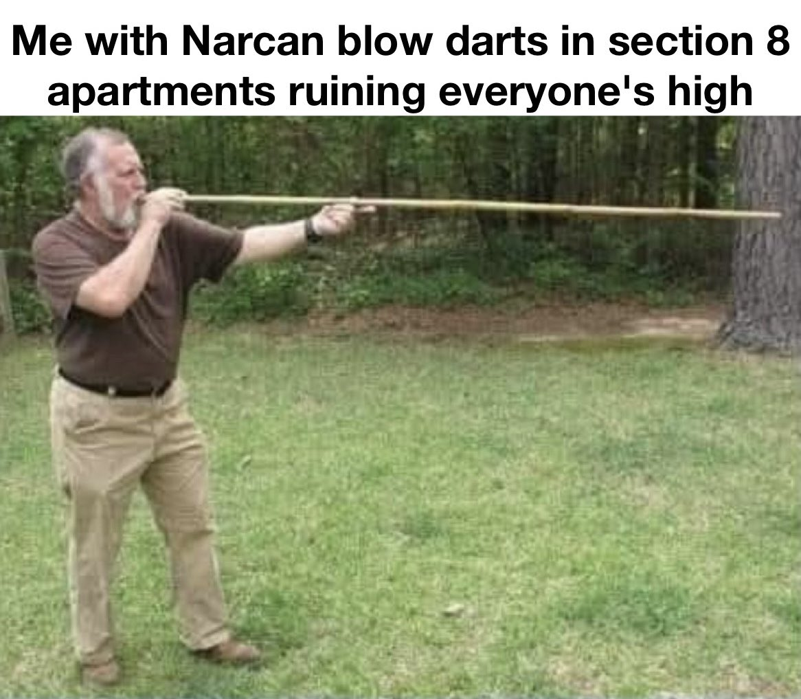 1743522286131.png