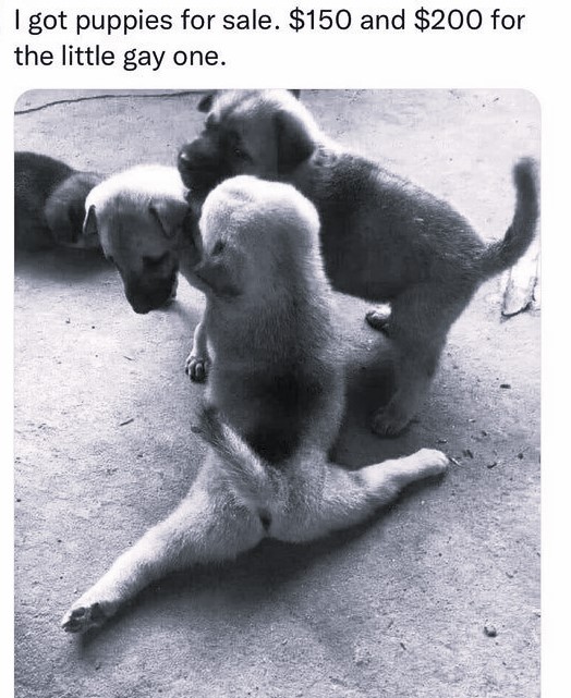 1743529064615.jpeg