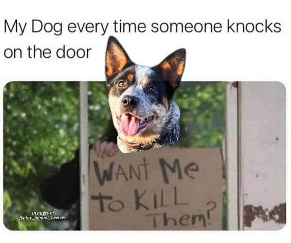 1743576396559.png