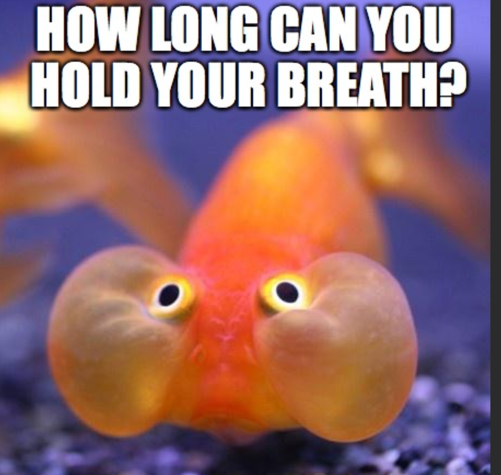 1743610588765.png